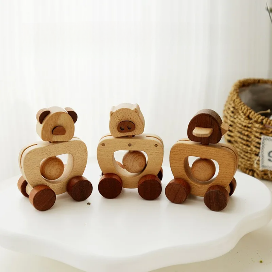 Minis véhicules en bois (animaux)