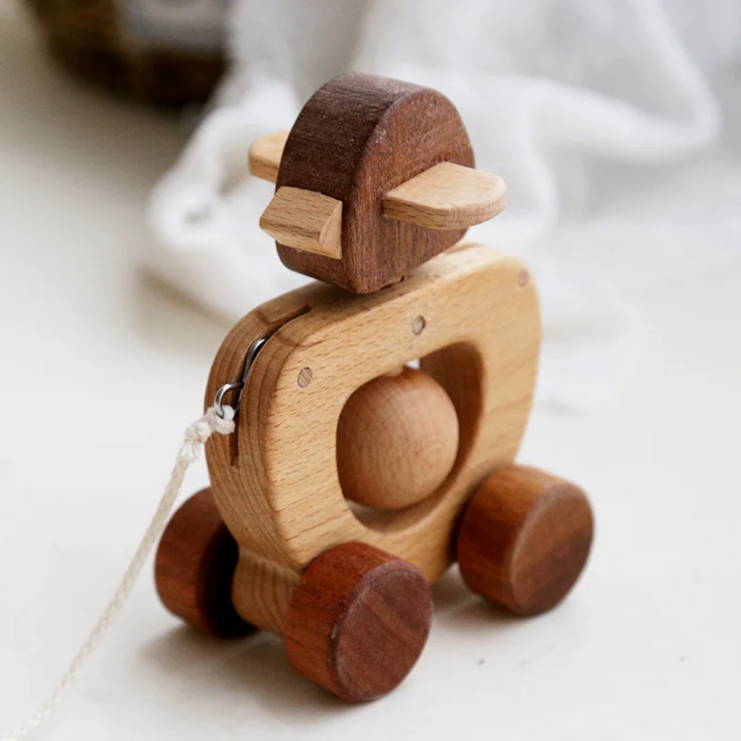 Minis véhicules en bois (animaux)